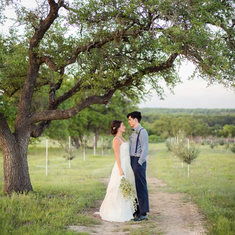 Texas Hill Country Olive Co.
